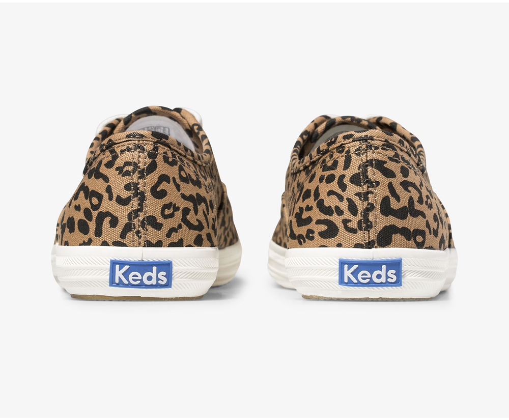 Basket Keds Femme Marron - Washable Champion Animal | LIO-61484140